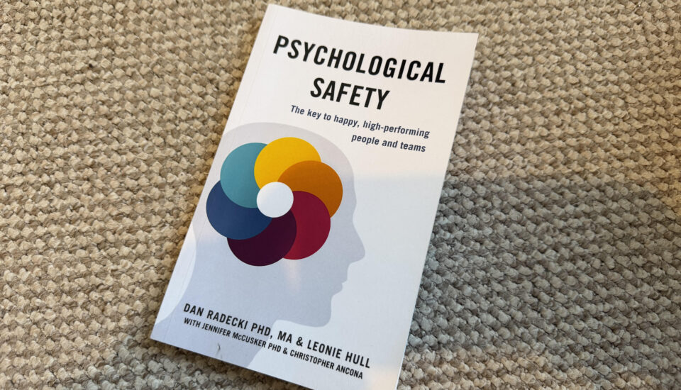 SAFETY model - Dan Radecki