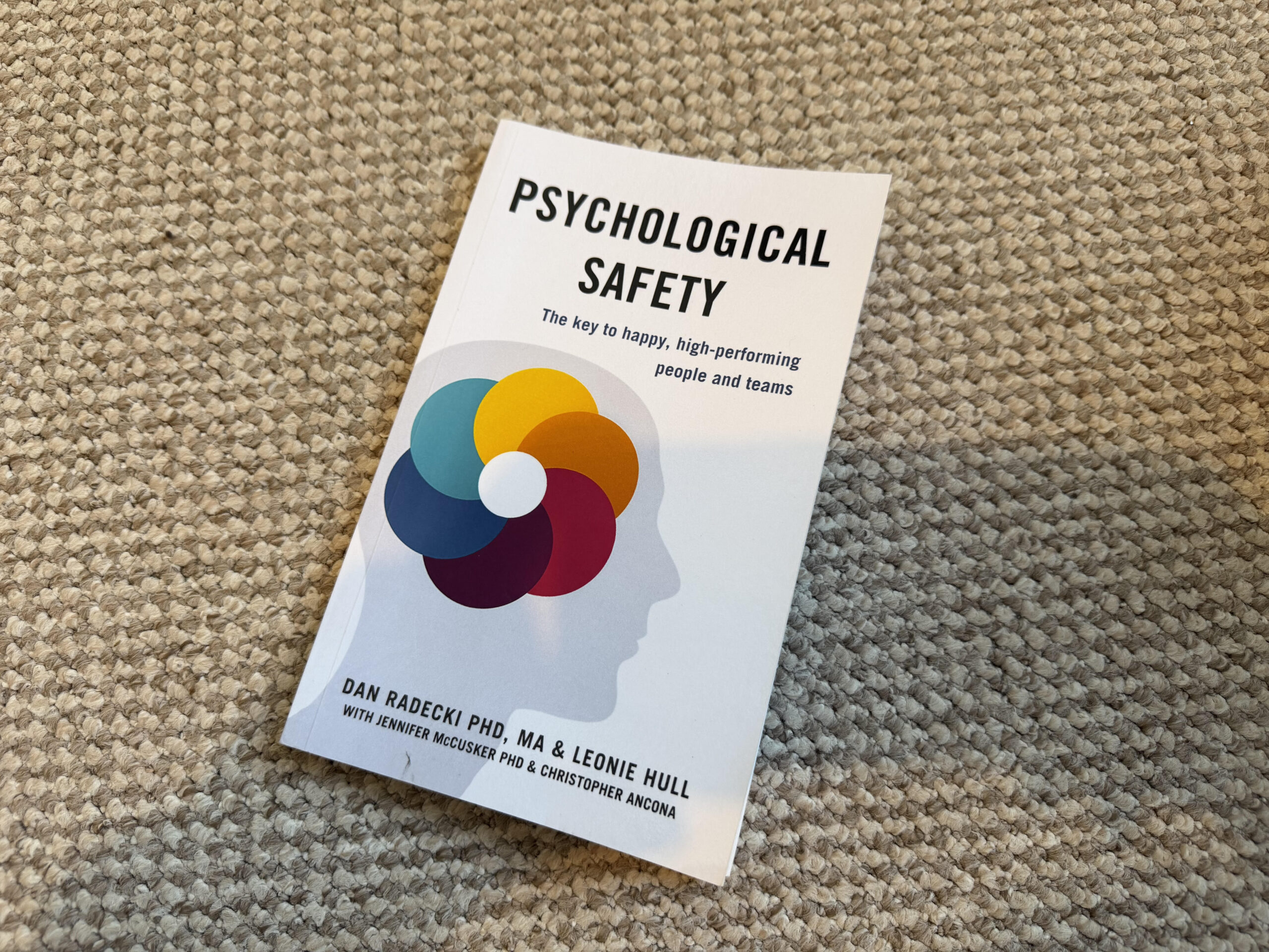 SAFETY model - Dan Radecki