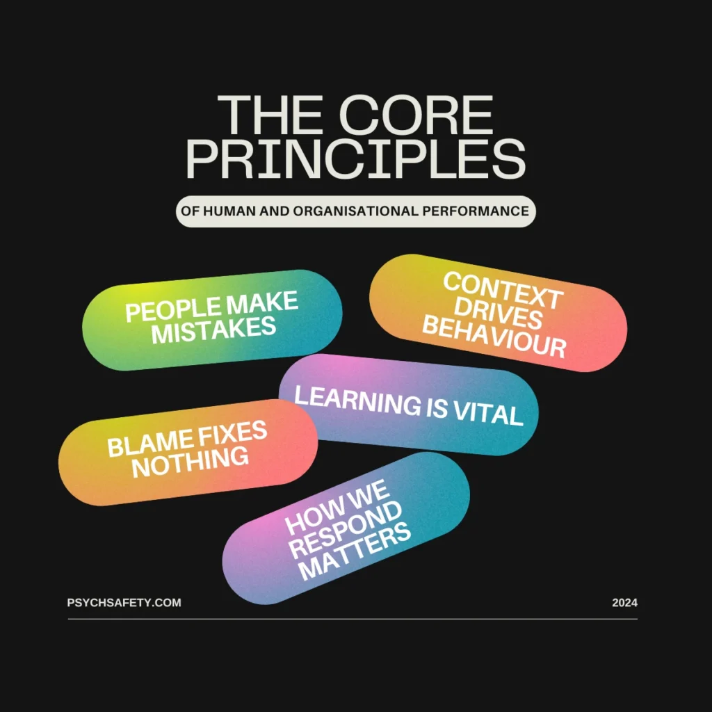 human and organisational performance training
