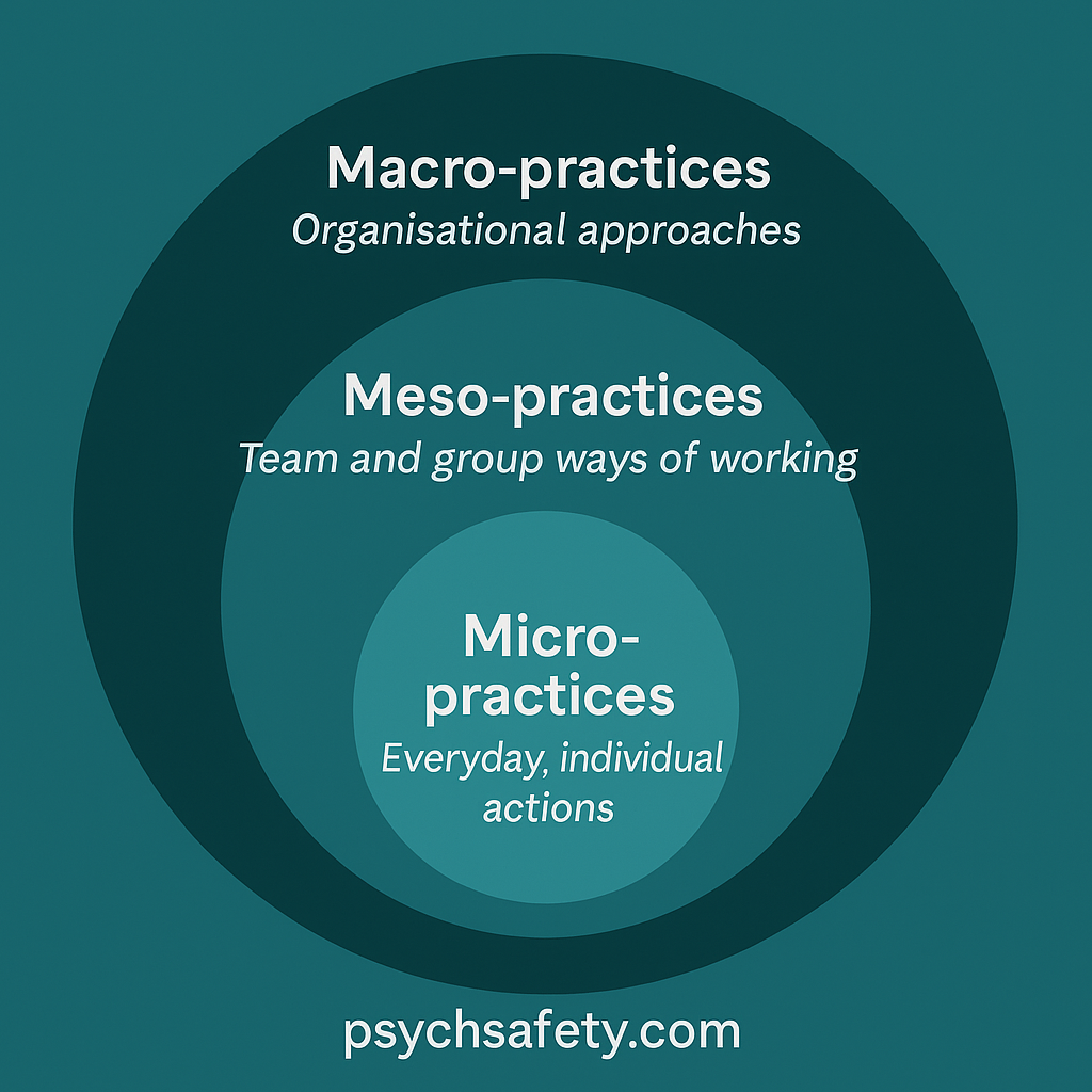 Three concentric circles with Micro practices in the centre - everyday individual actions, then meso practices - team and group ways of working, then macro-practices, organisational approaches