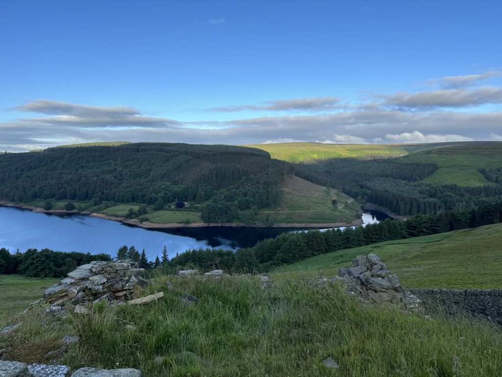 A number of ecotones are visible here: the shore of the reservoir where water meets land, and where the forest meets grassland, as well as dry stone walls and hedgerows.