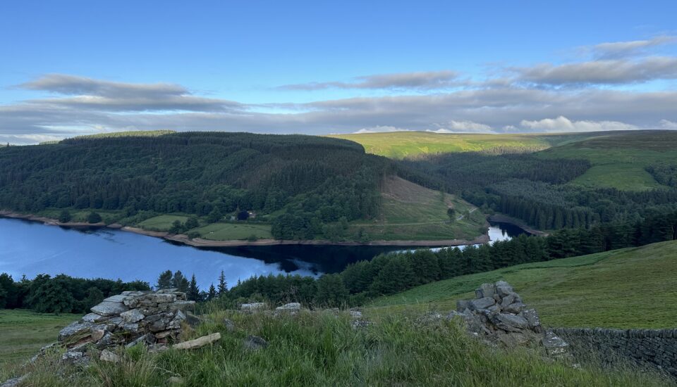A number of ecotones are visible here: the shore of the reservoir where water meets land, and where the forest meets grassland, as well as dry stone walls and hedgerows.