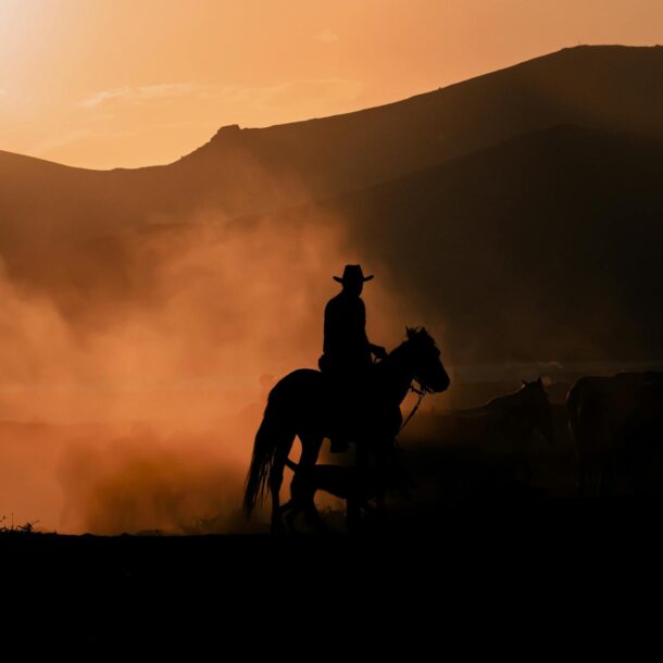 Cowboy at sunset