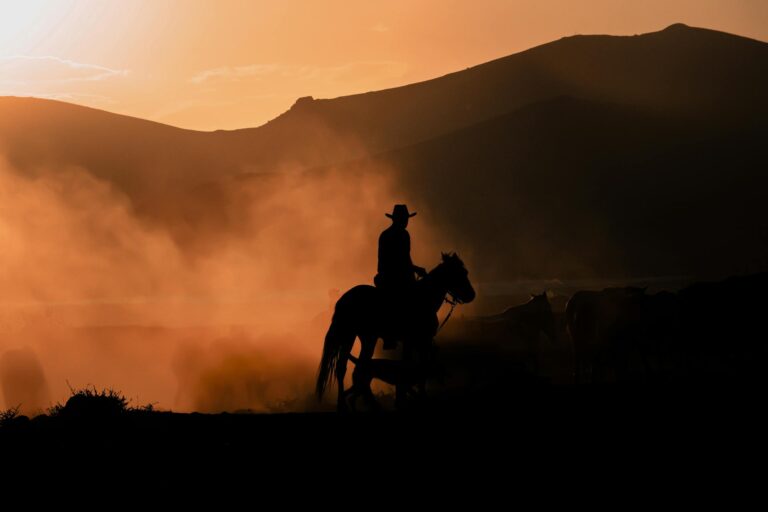 Cowboy at sunset