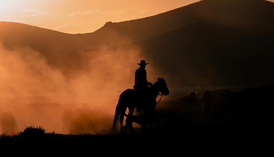 Cowboy at sunset