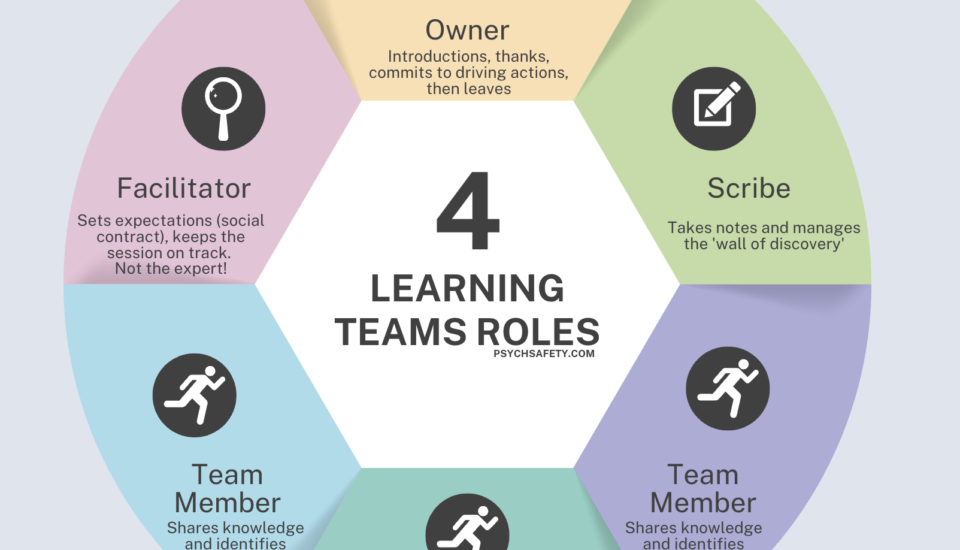 the various roles of a HOP learning team - owner, facilitator, team members
