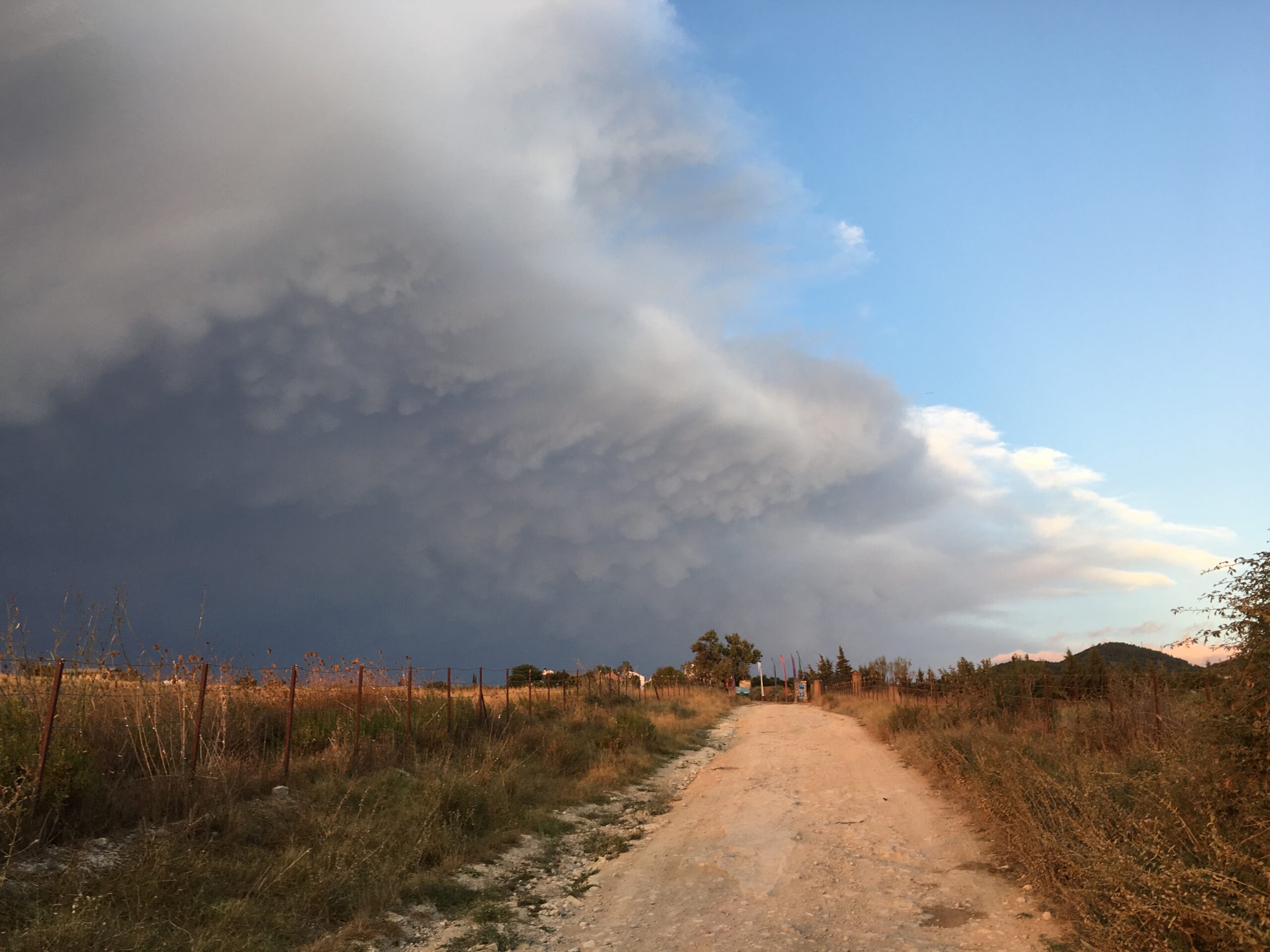 Mammatus clouds - form when cold, sinking air (laden with ice crystals or water droplets) descends into warmer, drier air below, creating those distinctive rounded lobes. They're usually found on the underside of cumulonimbus anvils — the spreading top of a large thunderstorm