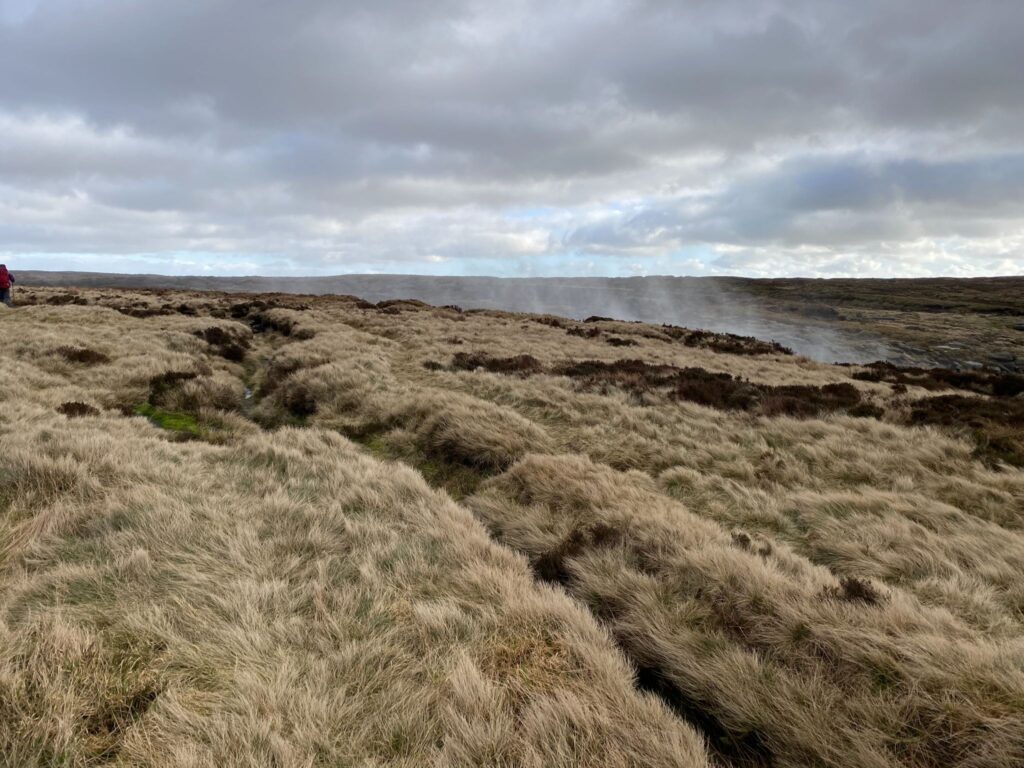 peat bog derbyshire